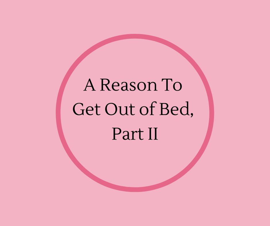 A Reason To Get Out of Bed, Part II is the follow up article from Hospice Pioneer, Barbara Karnes, RN