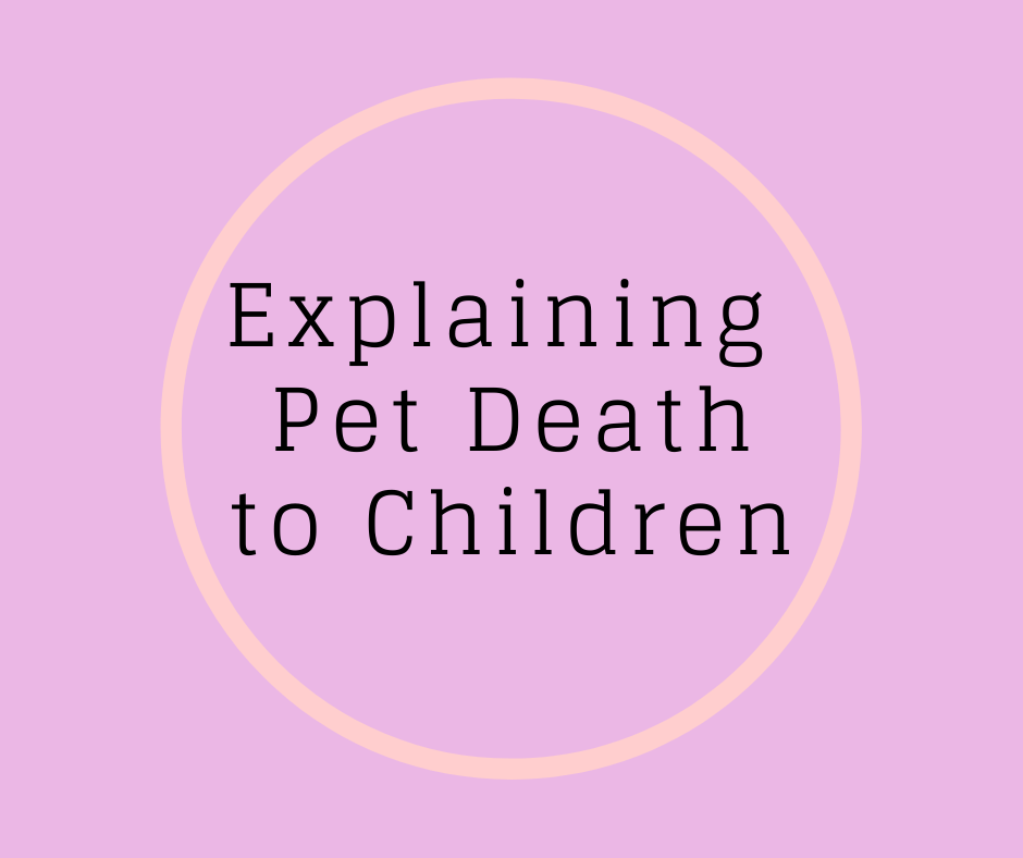 Explaining Pet Death To Children BK Books explaining-pet-death-to-children-bk-books
