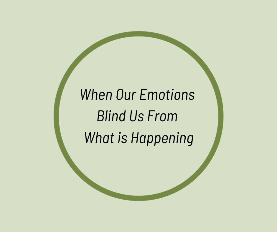 When Our Emotions Blind Us From What is Happening