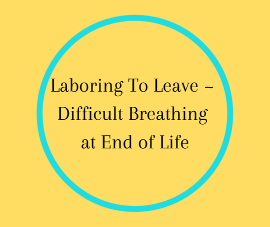 Laboring To Leave ~ Difficult Breathing at End of Life by Barbara Karnes, RN