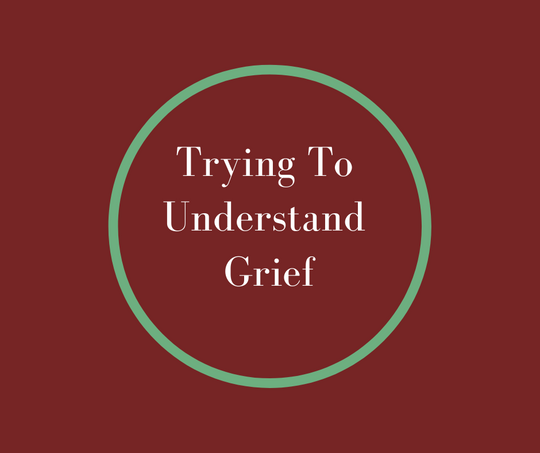 Trying To Understand Grief article by Dying Expert, Barbara Karnes, RN at BKBooks