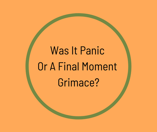 Was It Panic Or A Final Moment Grimace? by Barbara Karnes, RN
