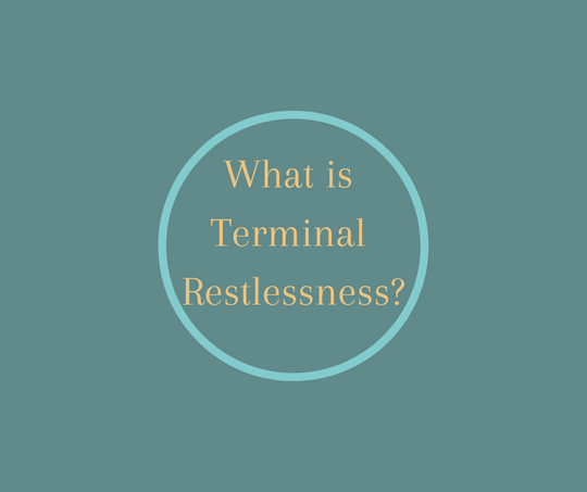 NHPCO Hospice Innovator, Barbara Karnes, RN explains Terminal Restlessness.