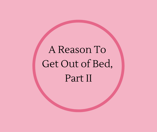 A Reason To Get Out of Bed, Part II is the follow up article from Hospice Pioneer, Barbara Karnes, RN