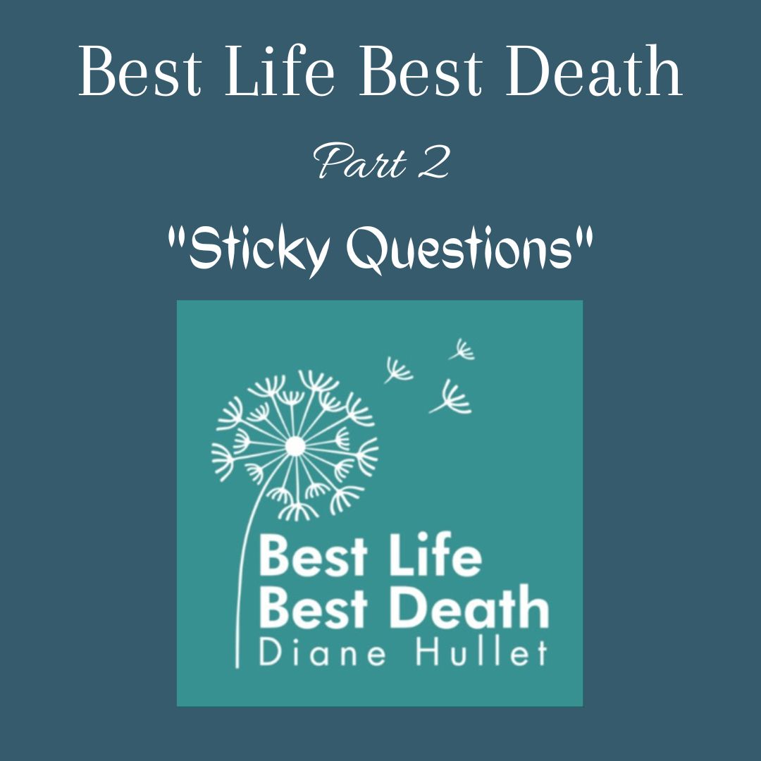 Best Life Best Death, Part 2 "Sticky Questions"