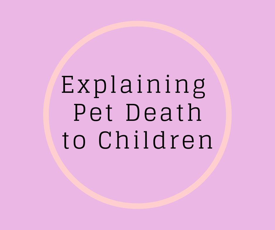 Explaining Pet Death To Children by Barbara Karnes, RN www.bkbooks.com