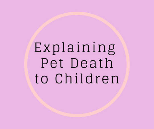 Explaining Pet Death To Children by Barbara Karnes, RN www.bkbooks.com