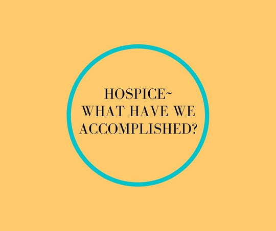 Hospice~ What Have We Accomplished? 