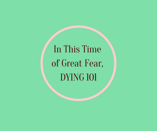 In This Time of Fear, Dying 101 by Barbara Karnes, RN