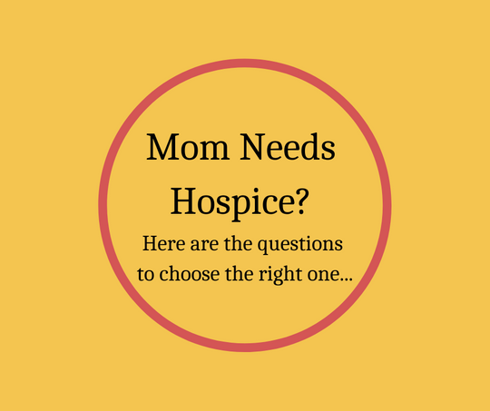 International Woman of the Year 2015, Barbara Karnes, RN gives you the questions you need to ask when choosing a hospice for a loved one, or yourself.  MOM NEEDS HOSPICE? Here Are Your Questions To Choose the Right One...