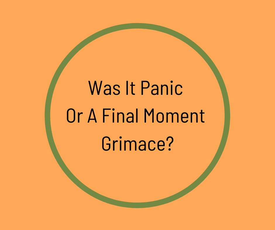 Was It Panic Or A Final Moment Grimace? by Barbara Karnes, RN