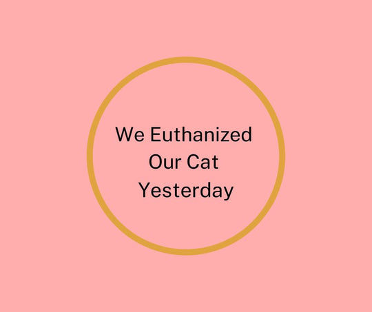 We Euthanized our Cat Yesterday