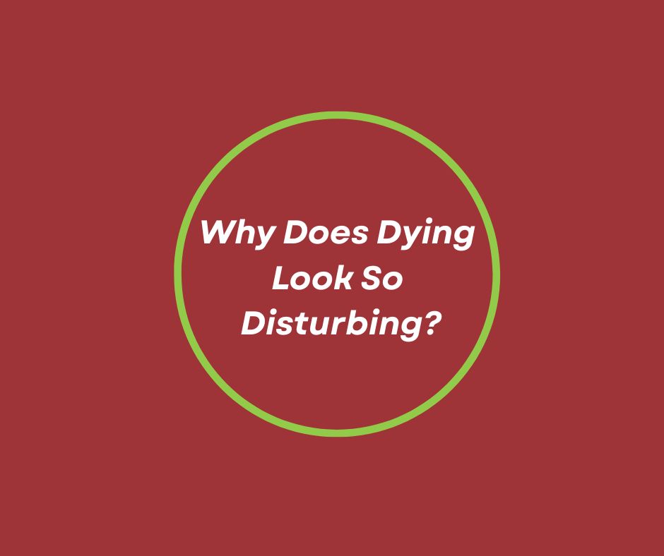 Why Does Dying Look So Disturbing? By Barbara Karnes, RN  Sounds, restlessness, and physical changes can be unsettling to witness, but they usually don't mean there is suffering. Understanding what is normal can ease fear for those keeping vigil.